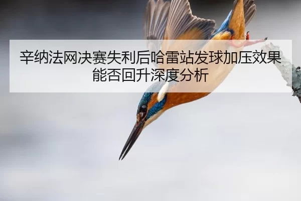 xin-na-fa-wang-jue-sai-shi-li-hou-ha-lei-zhan-fa-qiu-jia-ya-xiao-guo-neng-fou-hui-sheng-shen-du-fen-xi-2-666.jpg